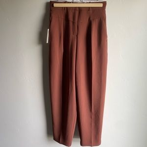 Wilfred Pant in Rust 4